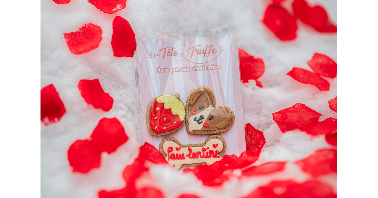 Hlimior Grand Récipient à Friandises Pour Chien, Pot à Biscuits Pour Chiens Et Chats, Boîte De Rangement En Bois De Ferme Pour Friandises Pour Animaux Domestiques Avec 4 Pots, Organisateur De